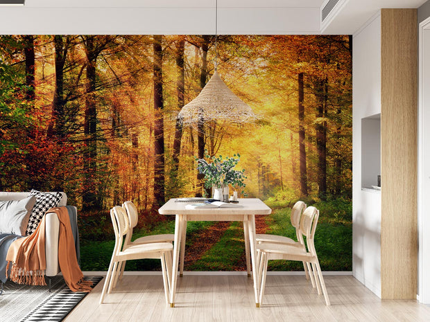 Golden autumn wall mural with a forest path surrounded by vibrant fall foliage and sunlit trees, decorating a dinning room.