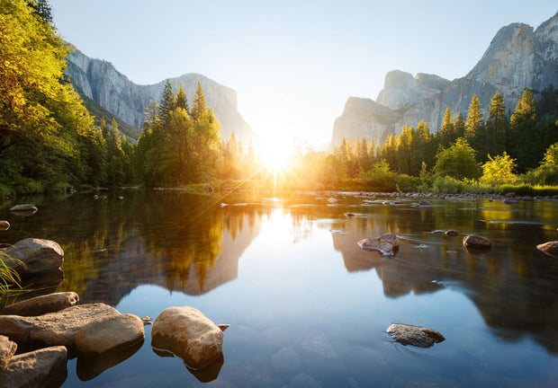 Mountain sunrise wall mural featuring a serene lake, evergreen trees, and soft morning light illuminating majestic mountains.