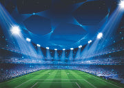 Stadium-themed soccer wall mural with night lighting, green field and vibrant crowd.