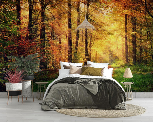 Golden autumn wall mural with a forest path surrounded by vibrant fall foliage and sunlit trees, creating a warm and inviting bedroom backdrop.