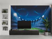 Stadium-themed soccer wall mural with night lighting, green field and vibrant crowd, decorating living room or sports room.