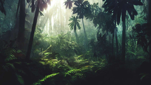 Rainforest jungle wall mural featuring dense greenery, tropical plants and sunlight streaming through the trees, creating a tranquil and vibrant ambiance.