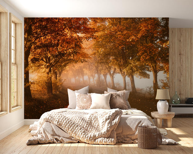 Tree avenue wall mural with a serene autumn pathway, golden foliage and soft mist; decorating a bedroom.