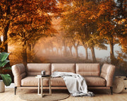 Tree avenue wall mural with a serene autumn pathway, golden foliage, and soft mist, ideal for creating a warm and peaceful living room setting.