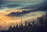 Sunrise hills wall mural featuring rolling forested hills, golden morning light, and soft mist.