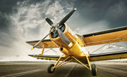 Vintage airplane wall mural featuring a bold yellow aircraft against a dynamic sky.