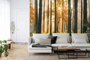 Golden forest wall mural with sunlight streaming through trees, creating a cozy atmosphere in a modern living room.