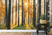 Golden forest wall mural with sunlight streaming through trees, creating a cozy atmosphere in a modern living room.