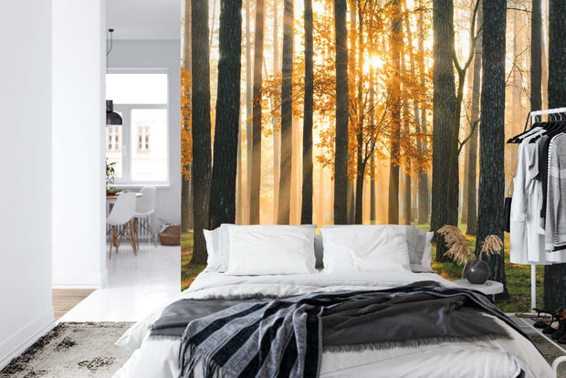 Golden forest wall mural with sunlight streaming through trees, creating a cozy atmosphere in a modern bedroom.