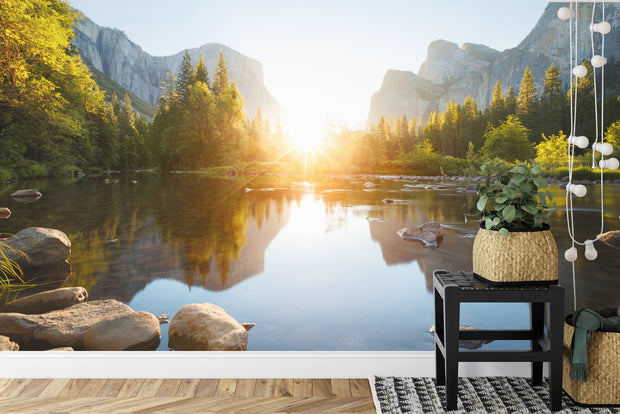 Mountain sunrise wall mural featuring a serene lake, evergreen trees, and soft morning light illuminating majestic mountains; decorating a living room.