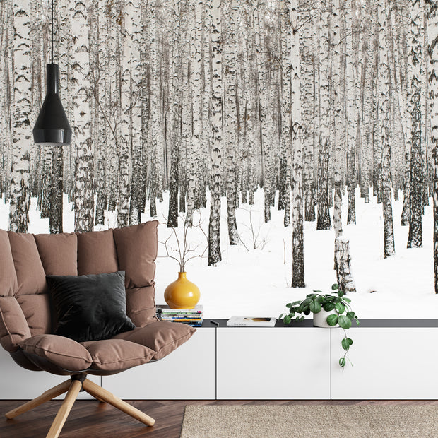 Birch forest wall mural with rows of black-and-white birch trees standing in a snowy landscape, ideal for minimalist and modern decor.