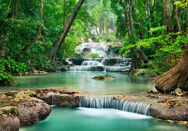 Wall mural of a lush green forest with cascading waterfalls.