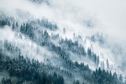 Snowy forest wall mural featuring a serene winter landscape with evergreen trees, snow, and soft mist, perfect for peaceful bedroom decor.